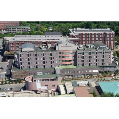 日帰り人間ドック+那須マロニエホテル宿泊+特別ディナー付ペアコース利用券