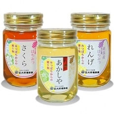 選りすぐりの純国産はちみつ450g×3本セット