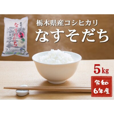 【大田原市・那須塩原市・那須町共通返礼品】令和6年産　栃木県産コシヒカリ　なすそだち　5kg(精米)