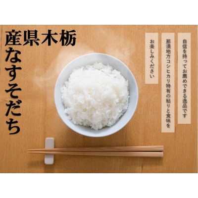 【大田原市・那須塩原市・那須町共通返礼品】令和6年産栃木県産コシヒカリ　なすそだち10kg(精米)
