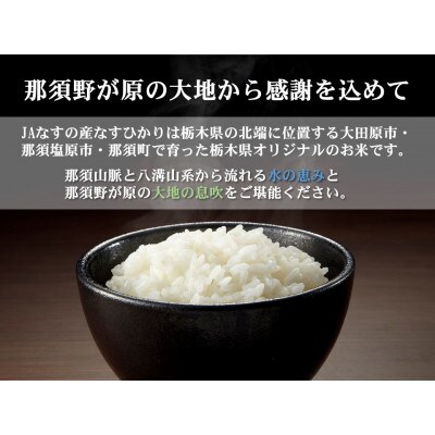 【大田原市・那須塩原市・那須町共通返礼品】令和6年産　栃木県産　なすひかり　5kg(精米)