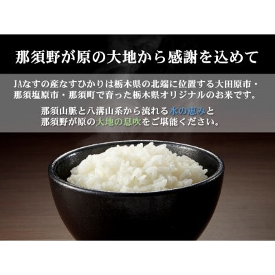 【大田原市・那須塩原市・那須町共通返礼品】令和6年産　栃木県産　なすひかり　10kg(精米)