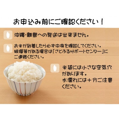 【大田原市・那須塩原市・那須町共通返礼品】令和6年産　栃木県産　なすひかり　10kg(精米)