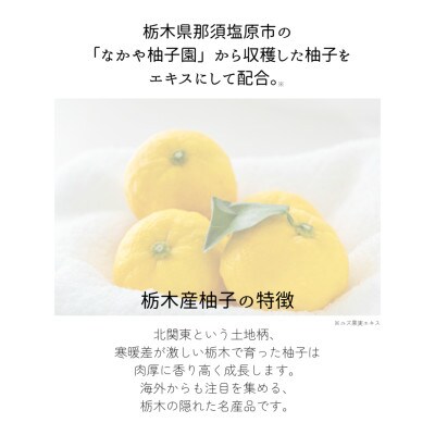 柚子とお米で感じるほのかな和 栃木の柚子 バスソルト 10袋