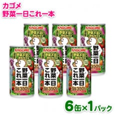 カゴメ 野菜一日これ一本 190g 6缶パック | ふるさと納税のお礼品