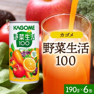 カゴメ 野菜生活100 オリジナル 190g×6缶 砂糖不使用 野菜果実