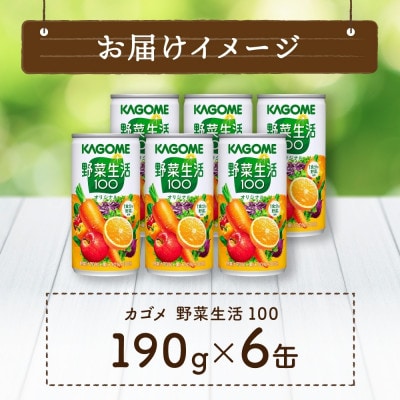 カゴメ 野菜生活100 オリジナル 190g×6缶 砂糖不使用 野菜果実ミックスジュース 那須塩原市