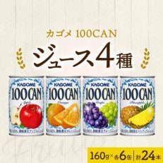 カゴメ 100CAN フルーツジュース 詰め合わせ 4種 各6缶 計24缶 那須塩原市