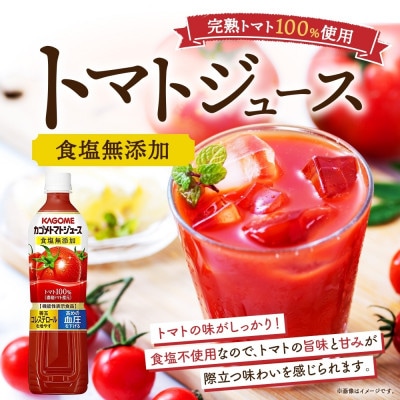 カゴメ 食塩無添加 トマトジュース & 野菜生活100 マンゴー アップル 720ml 那須塩原市