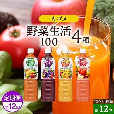 【毎月定期便】カゴメ 野菜生活100 PET 720ml 4種 計12本 那須塩原市全12回