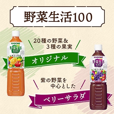 【毎月定期便】カゴメ 野菜生活100 PET 720ml 4種 計12本 那須塩原市全12回