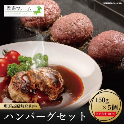 敷島和牛手作りハンバーグ5個