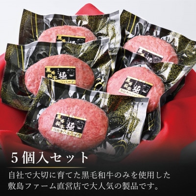敷島和牛手作りハンバーグ5個