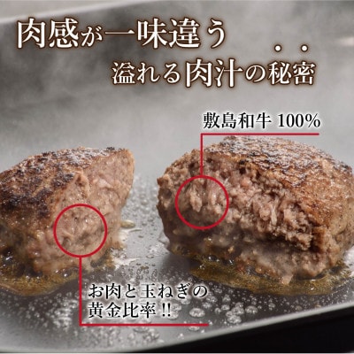 敷島和牛手作りハンバーグ5個