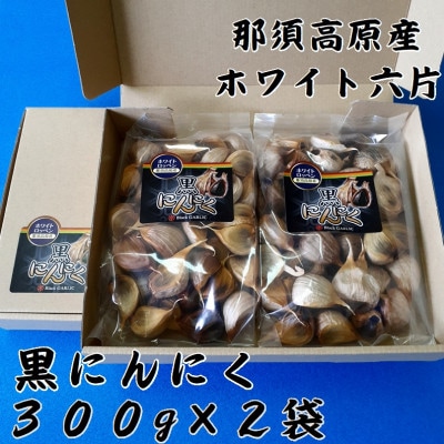 那須高原産ホワイト六片 黒にんにく 300g×2袋