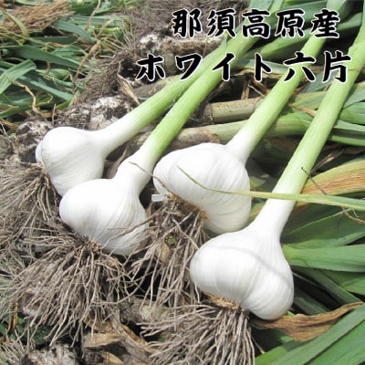 那須高原産ホワイト六片 黒にんにく 300g×2袋