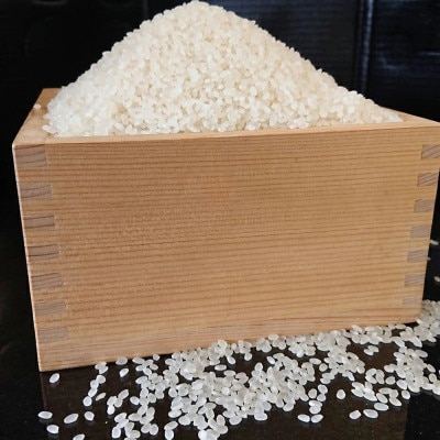 【令和5年産】 那須野が原の大地の恵み　アーデル米(コシヒカリ10kg)【お米　那須塩原市】