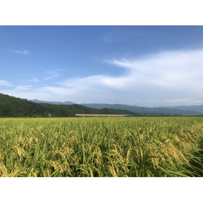 【令和5年産】 那須野が原の大地の恵み　アーデル米(コシヒカリ10kg)【お米　那須塩原市】