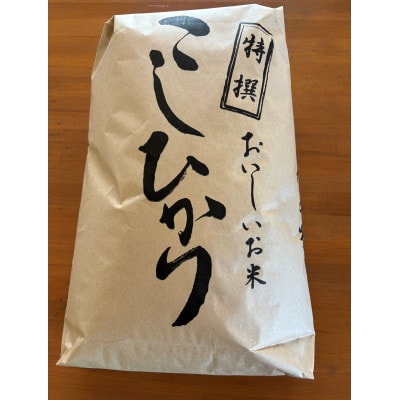 栃木県北産 精米 コシヒカリ 10kg