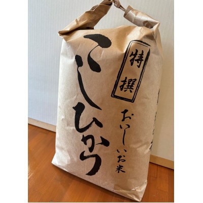 栃木県北産 精米 コシヒカリ 10kg