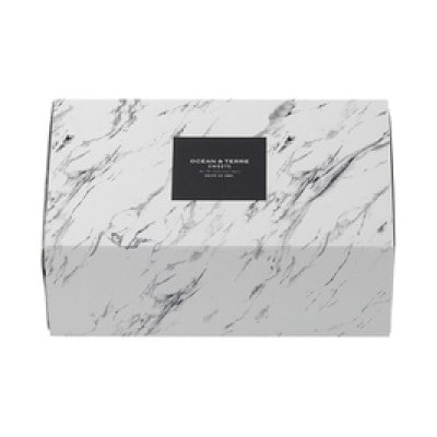 とろ～り濃厚フォンダンショコラ(AS101)