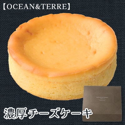 濃厚チーズケーキ(AS118)