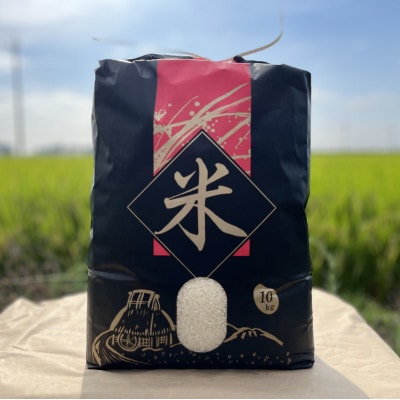 那須塩原市産コシヒカリ 精米10kg