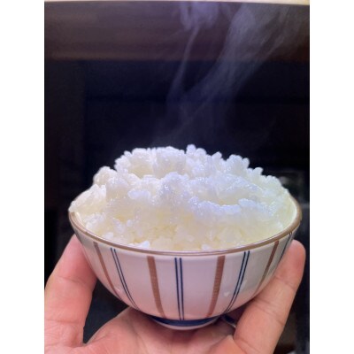那須塩原市産コシヒカリ 精米10kg
