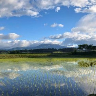 那須山麓ミネラル米　人見農園のコシヒカリ(精米)3kg