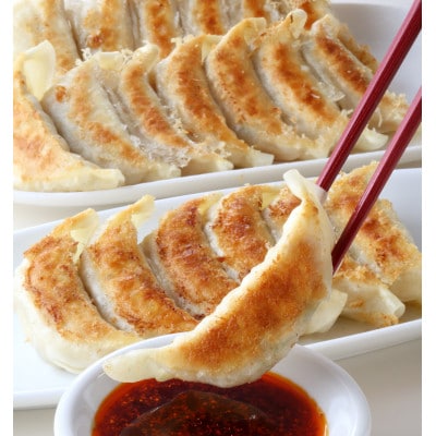 宇都宮餃子 宇味家のぎょうざ　20g×24個