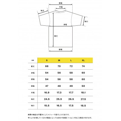 毎日着たくなるウールTシャツ | メリノウール100% ・PIZZA DAYロゴ・Sサイズ
