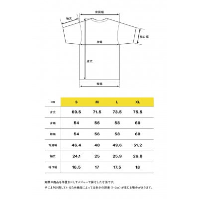 最高の着心地を叶えるメリノウールTシャツ ユニセックス ブラック　Lサイズ
