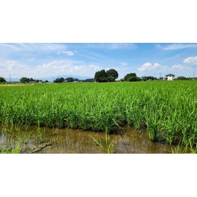 白米5kg【LAL技術栽培】