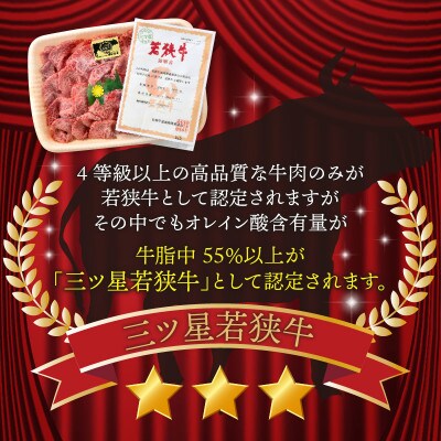 三ツ星若狭牛切り落とし　450g