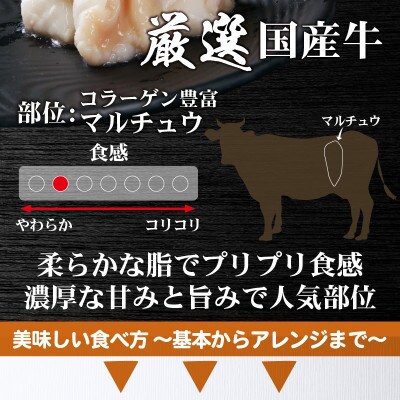 【秘伝のタレ付】 牛もつ セット約10人前