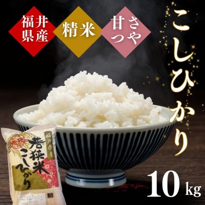 令和7年産　福井県産こしひかり白米10kg