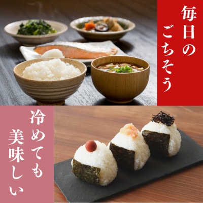 令和7年産　福井県産いちほまれ白米10kg　福井生まれの新ブランド米