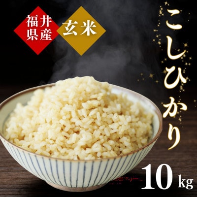 令和7年産　福井県産こしひかり玄米10kg