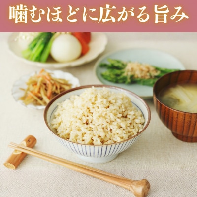 令和7年産　福井県産こしひかり玄米10kg
