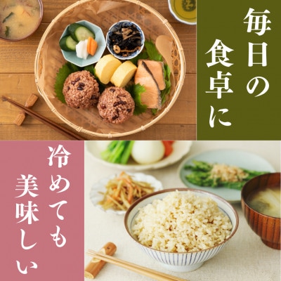 令和7年産　福井県産こしひかり玄米10kg
