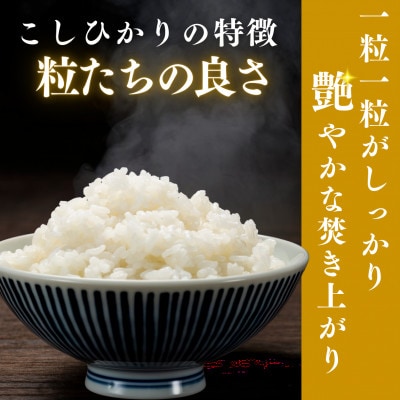 【毎月定期便】こしひかり白米10kg全3回