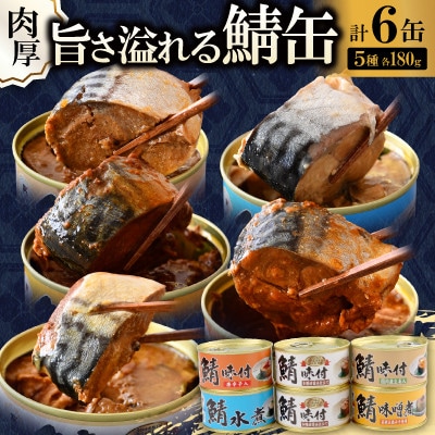 鯖缶詰6缶詰め合わせ A(本醸造醤油仕立て*2・唐辛子入・生姜入・味噌・水煮 各1) 180g×6缶
