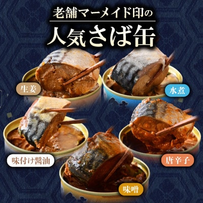鯖缶詰6缶詰め合わせ A(本醸造醤油仕立て*2・唐辛子入・生姜入・味噌・水煮 各1) 180g×6缶