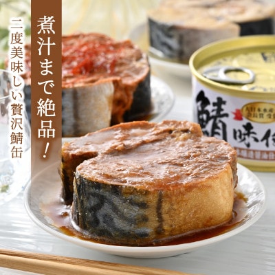 鯖缶詰6缶詰め合わせ A(本醸造醤油仕立て*2・唐辛子入・生姜入・味噌・水煮 各1) 180g×6缶