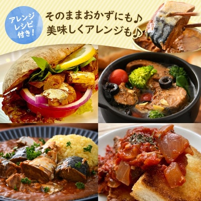 鯖缶詰6缶詰め合わせ A(本醸造醤油仕立て*2・唐辛子入・生姜入・味噌・水煮 各1) 180g×6缶