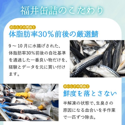 鯖缶詰6缶詰め合わせ C(本醸造醤油仕立て・味噌煮 各3缶)180g×6缶