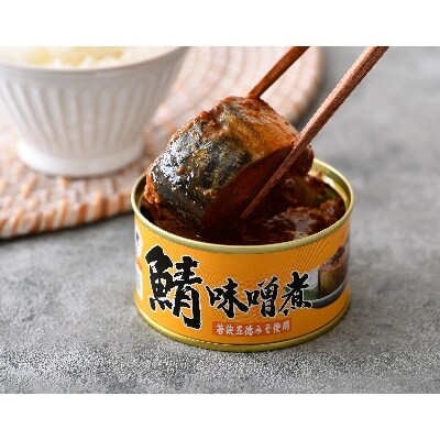 【2022年4月下旬発送】鯖缶詰12缶詰め合わせ B