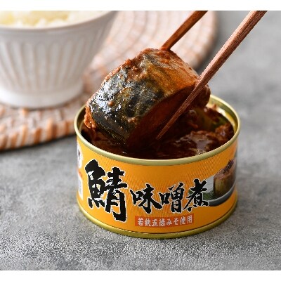鯖缶詰12缶詰め合わせ C