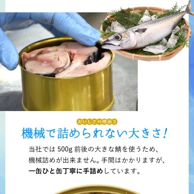 鯖味付缶詰　本醸造醤油仕立て　6缶セット(180g×6)