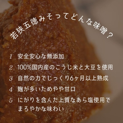 鯖味噌煮缶詰　12缶セット(180g×12)